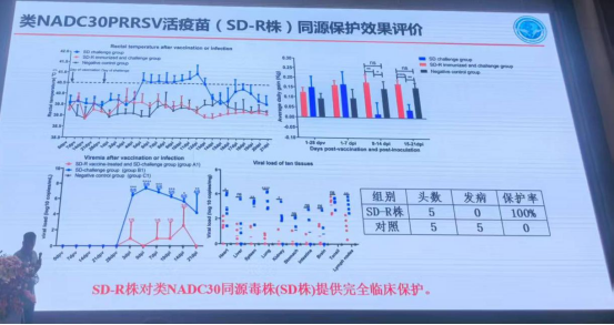 1767152104349504.png image.png