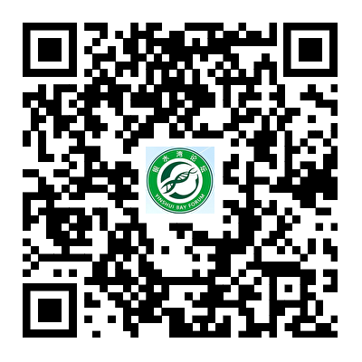 1786083251101172.png 810cefad1e25832b2e02590bc783993e.png